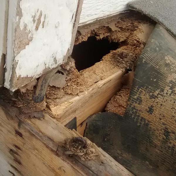 deck-repair-las-vegas-nv Deck Repair in Las Vegas NV